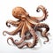 Realistic Scavenger Octopus On White Background - Uhd Airbrush Art