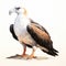 Realistic Sea Eagle Drawing With Hyper-detailed Renderings