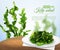 Realistic Sea Weed Salad Illustration