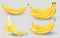 Realistic set of bananas isolated on transparent background. Bunches of fresh yellow banana fruits. Tropical fruits