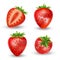 Realistic set of strawberry isolated on white. Fresh ripe strawberry with leaves. Red fruits vector illustration