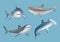 Realistic shark. Angry agressive wild underwater fauna antarctic big sharks danger diving decent vector illustrations