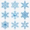 Realistic Snowflake Icon Set