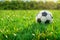 Realistic soccer ball on a sunlit green grass field, 3D