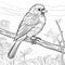 Realistic Sparrow Coloring Page For Toddlers