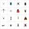 Realistic Spider, Damselfly, Grasshopper And Other Vector Elements. Set Of Insect Realistic Symbols Also Includes