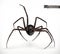 Realistic spider, Halloween 3d vector icon
