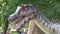 Realistic spinosaurus dinosaur in dino park Head and neck