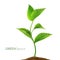 Realistic sprouts 3D.Phases plant growing. Seeds sprout in ground. Vector illustration isolated