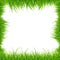 Realistic Square Green Grass Frame. Vector