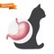 Realistic stomach organ on the cat animal silhouette. Digestive system vector icon of domestic pet isolated on white background