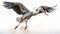 Realistic Stork In Flight: Photorealistic Rendering Of A White And Ivory Bird
