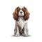 Realistic Yet Stylized Watercolor Illustration Of King Charles Spaniel Dog Tot