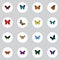 Realistic Summer Insect, Beauty Fly, Tropical Moth And Other Vector Elements. Set Of Butterfly Realistic Symbols Also
