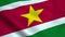 Realistic Suriname flag
