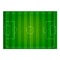 Realistic textured grass football field. Soccer pitch. Empty soccer field top view. Vector