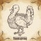 Realistic Thanksgiving Turkey Hand Drawn Style Poster