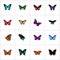 Realistic Tiger Swallowtail, Milkweed, Spicebush And Other Vector Elements. Set Of Butterfly Realistic Symbols Also