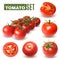 Realistic Tomato Fruits Collection