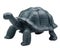 Realistic toy turtle isolated