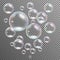 Realistic transparent multicolored soap bubbles vector