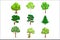 Realistic Trees Set