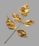 Realistic trendy gold painted leaves for invitation design