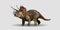 realistic Triceratops Dinosaur Of Jurassic Period, Prehistoric Extinct Giant Reptile Cartoon Realistic Animal on a