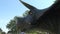Realistic tricheraptus dinosaur in park head close