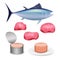 Realistic tuna. Whole fresh fish, fillet steak and canned for salad or pasta in can and on plate