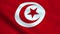 Realistic Tunisia flag