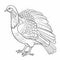 Realistic Turkey Coloring Page For Children\\\'s Coloring Book