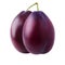Realistic two juicy ripe plum