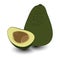 Realistic vector avocados illustration. Whole and cut avocado isolated