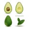 Realistic vector avocados illustration. Whole and cut avocado isolated on white background. bright vector set of colorful half,