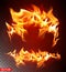 Realistic vector burning fire flame bright element