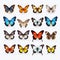 Realistic Vector Butterfly Set With Vibrant Color Choices