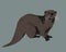 Realistic vector drawing of an otter. Wild animal and great swimmer with broun fur and tail.