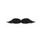Realistic vector hand drawn Vintage Black curly mustache. Moustache isolated on white background.