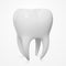 Realistic Vector Human Tooth, Close-Up, Three-Quarter Front Angle View