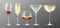 Realistic vector icon. big collection of full glasses, vine, champagne, martini,margarita