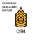 Realistic vector icon of the chevron of the command sergeant major of the US Army. Description and abbreviated name