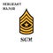 Realistic vector icon of the US Army Sergeant major chevron. Description and abbreviated name