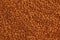 Realistic vector illustration of buckwheat groats texture background. Organic raw dry buckwheat grains background