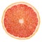 Realistic vector illustration of a grapefruit slice