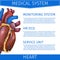 Realistic Vector Illustration Medical System Heart