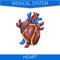 Realistic Vector Illustration Medical System Heart