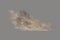 Realistic vector illustration.Sandstorm, a cloud of dust or sand flying .