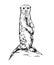 Realistic  vector illustration of sitting meerkat