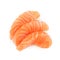 Realistic Vector Illustration of Sliced Salmon Fillet